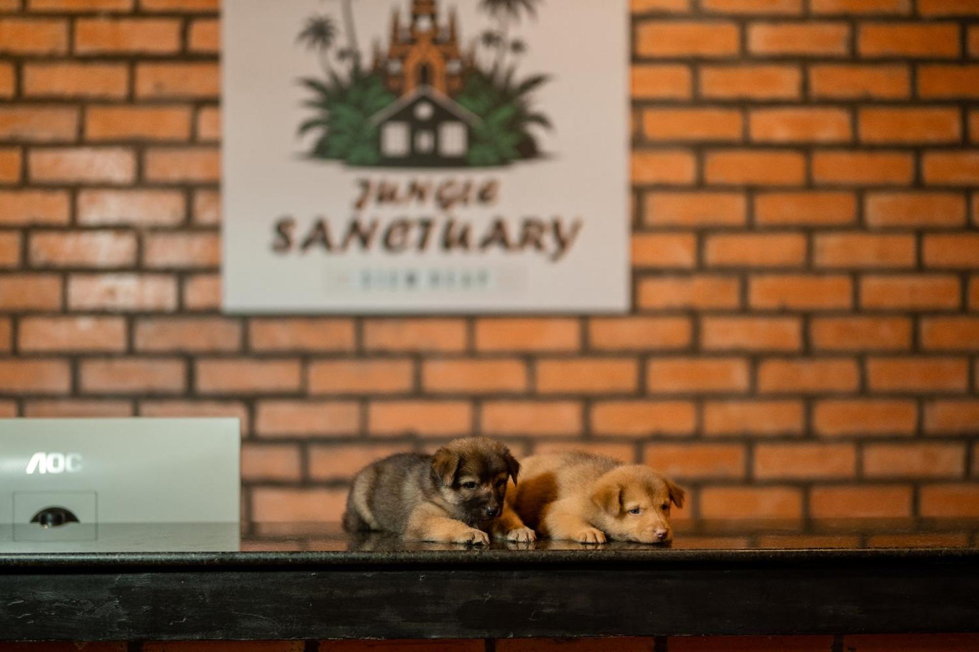 Jungle Sanctuary Hotel Siem Reap Esterno foto